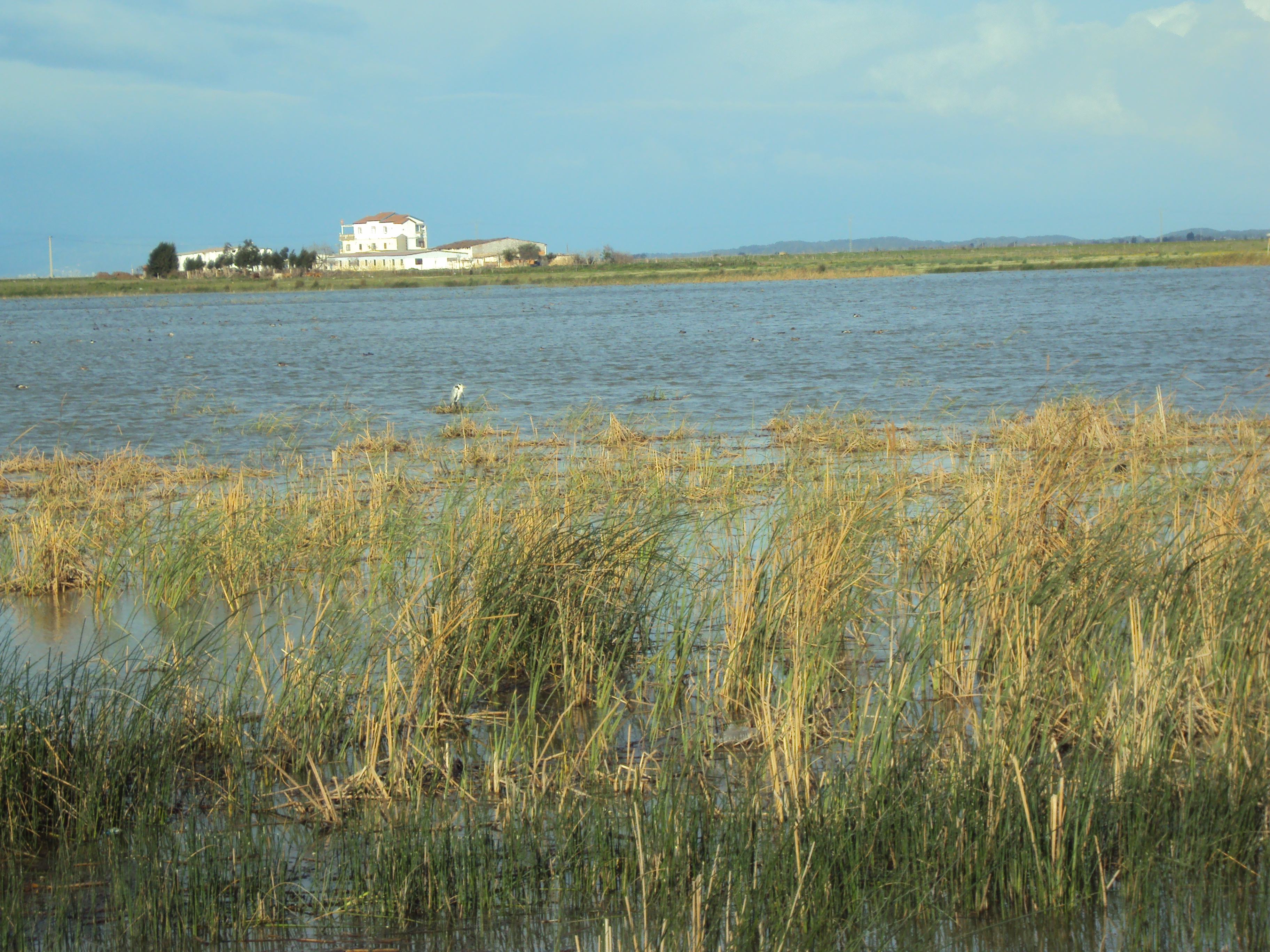 Lac des Oiseaux 